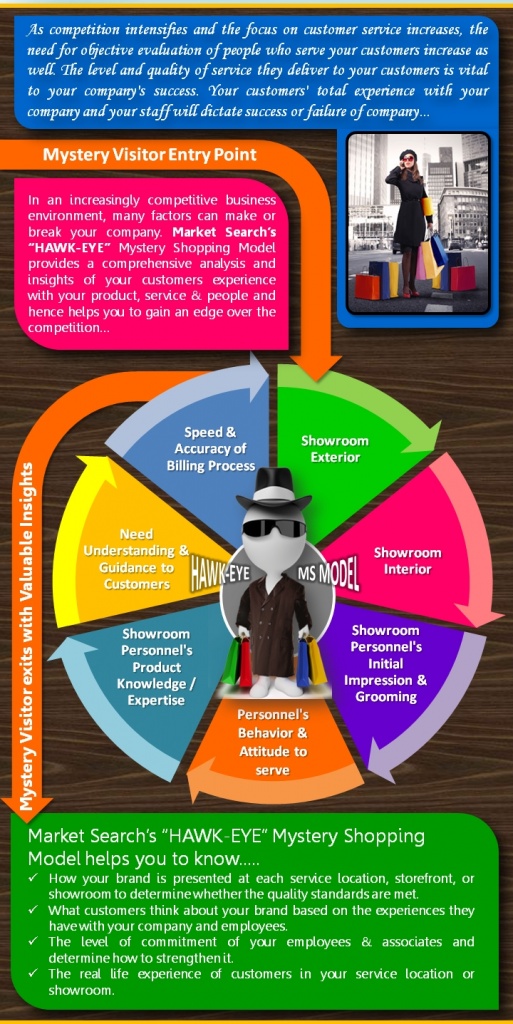 Market Search’s “HAWK-EYE” Mystery Shopping Model 2